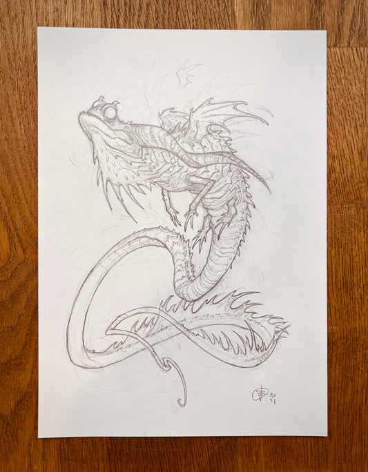 SALAMANDER - ORIGINAL ARTWORK & SIGNED PRINT
