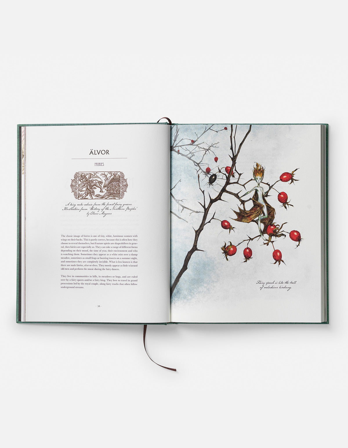 PRE-ORDER: VAESEN ANNIVERSARY EDITION - SIGNED BOOK & PRINT