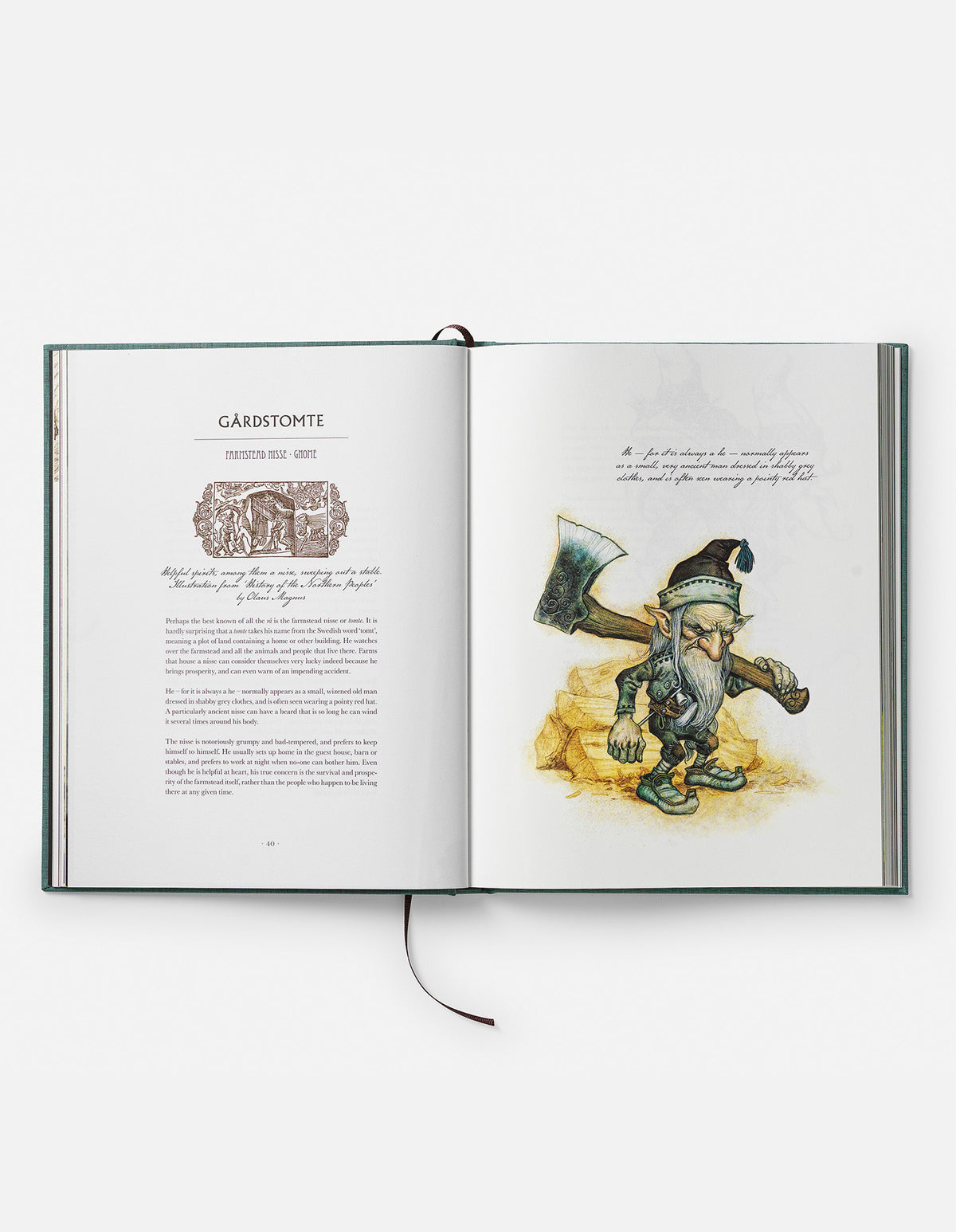 PRE-ORDER: VAESEN ANNIVERSARY EDITION - SIGNED BOOK & PRINT