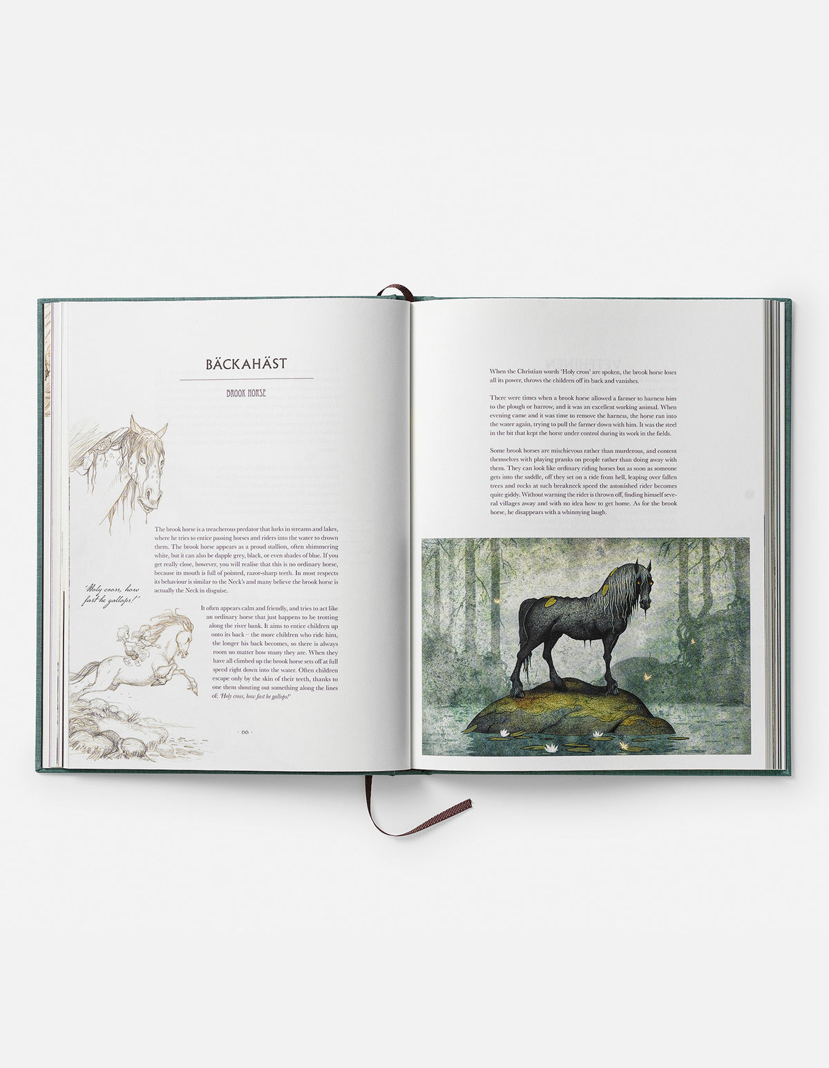 PRE-ORDER: VAESEN ANNIVERSARY EDITION - SIGNED BOOK & PRINT