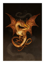 Load image into Gallery viewer, DRAGONS - SIGNED BOOK &amp; PRINT

